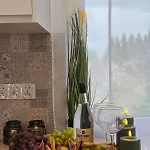 Lesny Zakatek Takie Male Bieszczady W Rzeszowie Grill Starowiejska 6 Appartamento Rzeszów