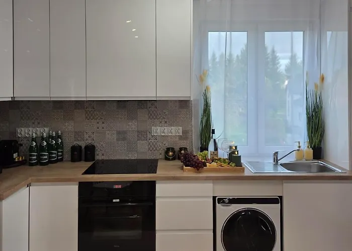 Appartement Lesny Zakatek Takie Male Bieszczady W Rzeszowie Grill Starowiejska 6 Rzeszów
